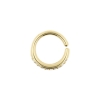 Gold Continuous Ring With Zirconia
