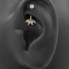 Rook Piercing With Gold Fan - Threadless