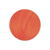 Directions Colour Kit - Peach